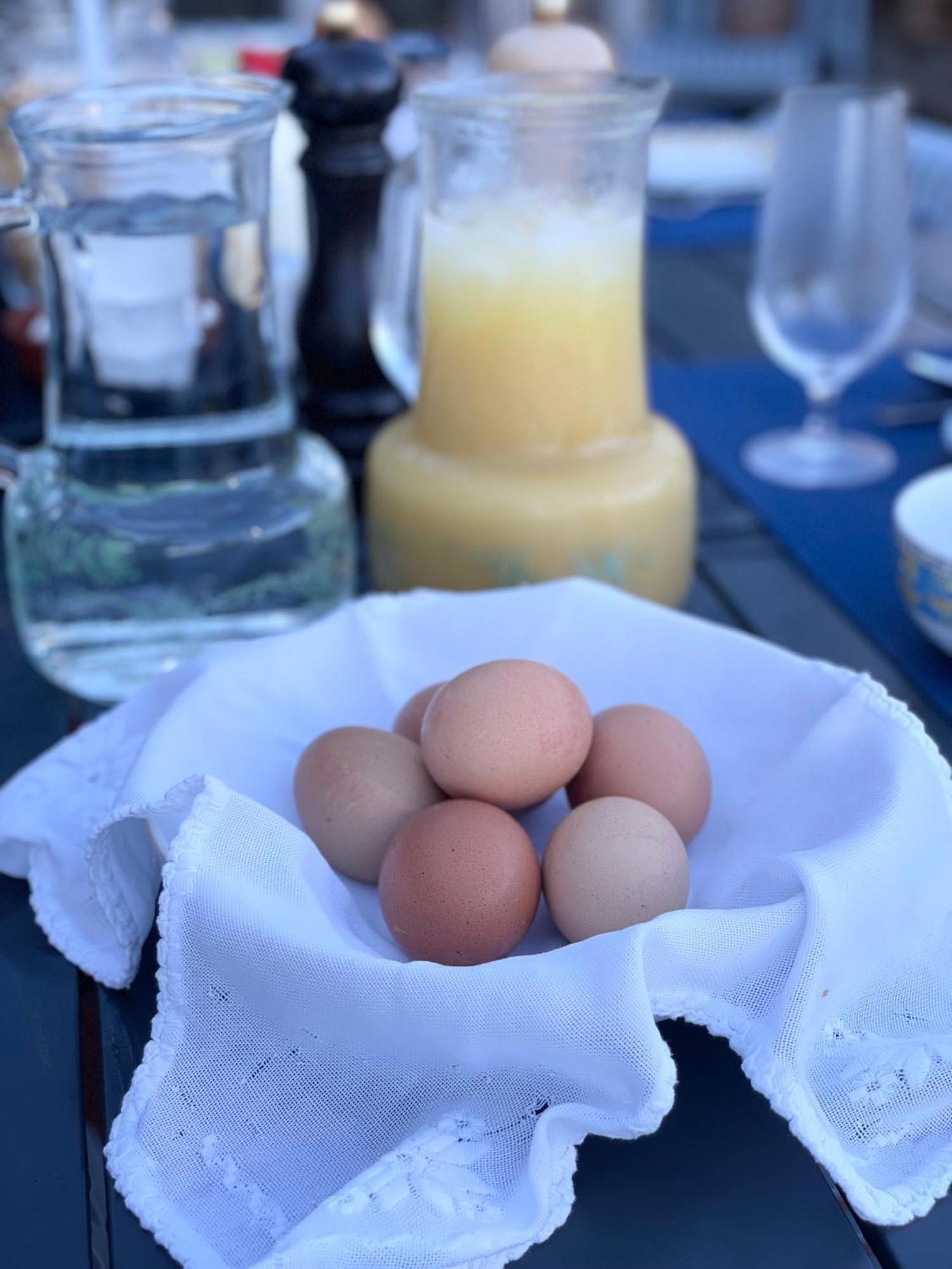 The Quixote House Bed & Breakfast Caminha Exterior foto